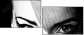 68753034