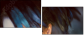 68796716