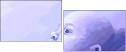 68948444