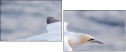 68956186