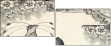 68960596