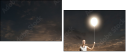 69184164