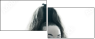 69263102