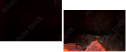 69305872