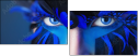 69641172