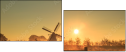 70018959