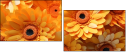701850992