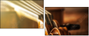 70192186