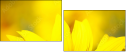 70553705