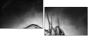 71412657