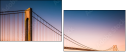 71420555