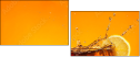71566092