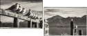 72072664