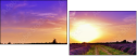 72306862