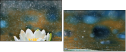 72576012