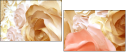 72588674
