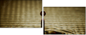73056406