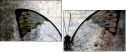 73878760