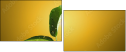 75277483