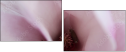 75397074