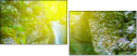 75460842