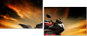 75568726