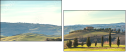75685044