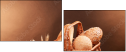 76078757