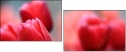 76096373