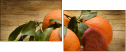 78022660