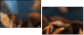 78130865