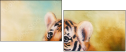 78189357