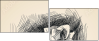 80036586