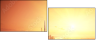 8253840