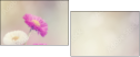 84071220