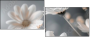 877089715