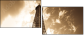 9077030