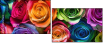 913577319
