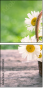 100224563