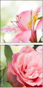 100541576