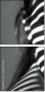 1009755653