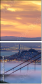 115585568