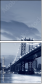 11982296
