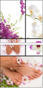 12605411