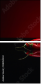 128050232