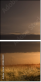 12824329