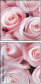 128745282
