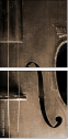 13267371