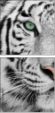 13468757