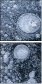 140346351
